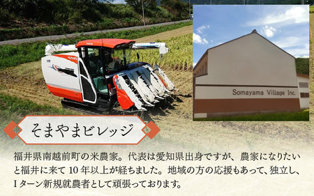 米農家が作ったおかゆ 12個 レトルト食 お粥