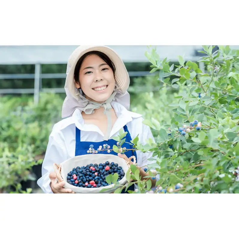 冷凍ブルーベリー200g×3袋(600g) 果物詰合せ フルーツ 