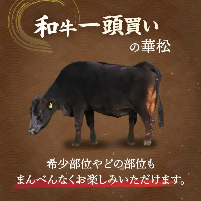 【全12回定期便】A4 A5  佐賀牛 ＜総量7.8kg！＞シルバーコース [FAY039]