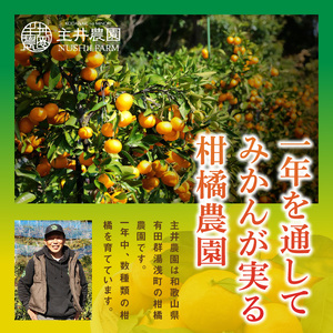 松兵衛みかんご家庭用定期便【3回定期便】_ZS69006