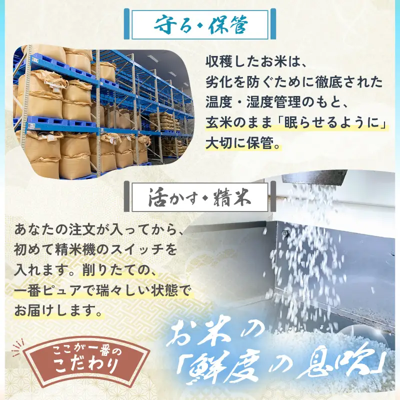 こしひかり 5kg 令和7年産 精米 ブランド米 コシヒカリ [A-10812]