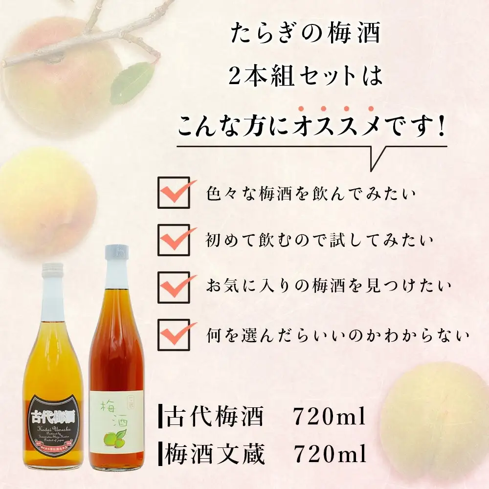 たらぎの 梅酒 セット 720ml × 2本 ≪古代 梅酒≫≪ 梅酒 文蔵≫ 球磨焼酎 多良木町 米 焼酎 梅 うめ酒 お酒 球磨 贈り物 ギフト 熊本県 多良木町 015-0689