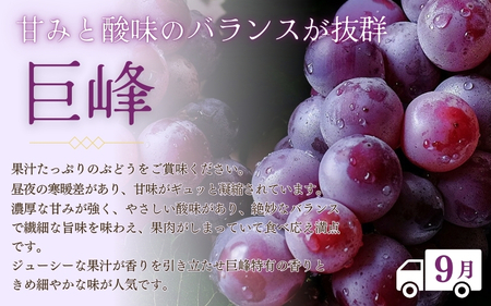 【2～3・7・9月 全3回】紀州和歌山産旬のフルーツセット（いちご・桃・巨峰）【UT96】【Z91153-tkb400】