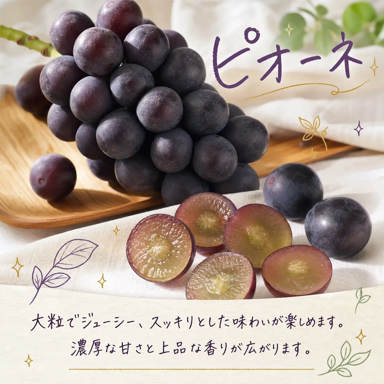【2・7・9月 全3回】紀州和歌山産旬のフルーツセット（いちご・桃・ピオーネ）【UT95】