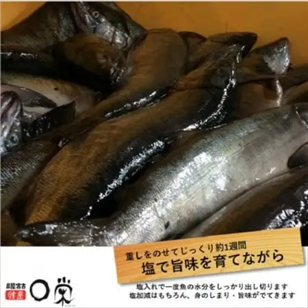 三陸の伝統的な製法でつくる寒風干し鮭 切身セット (150g×8パック)_魚介・海産物 鮭・サーモン 鮮魚 さけ サケ さーもん_【配送不可地域：離島】【1521574】