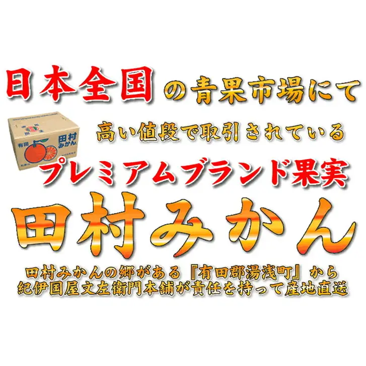 【2026年先行予約】田村みかん／5kg青秀／サイズ指定なし_V7450