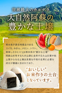 令和6年産   【定期便12回】 ひのひかりとくまさんの輝き食べ比べ 白米 10kg | 小分け 5kg × 2袋  熊本県産 特A獲得品種 米 白米 ごはん 銘柄米 ブランド米 単一米 人気 日本遺産 菊池川流域 こめ作り ごはん ふるさと納税 返礼品白米