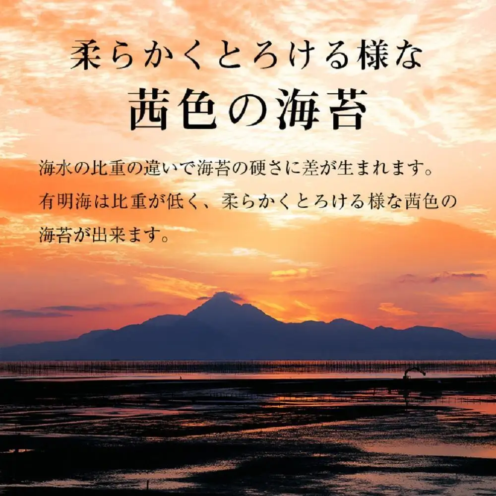訳あり 焼き海苔 福岡有明のり 合計104枚(2切8枚×13袋) 【福岡有明海産】