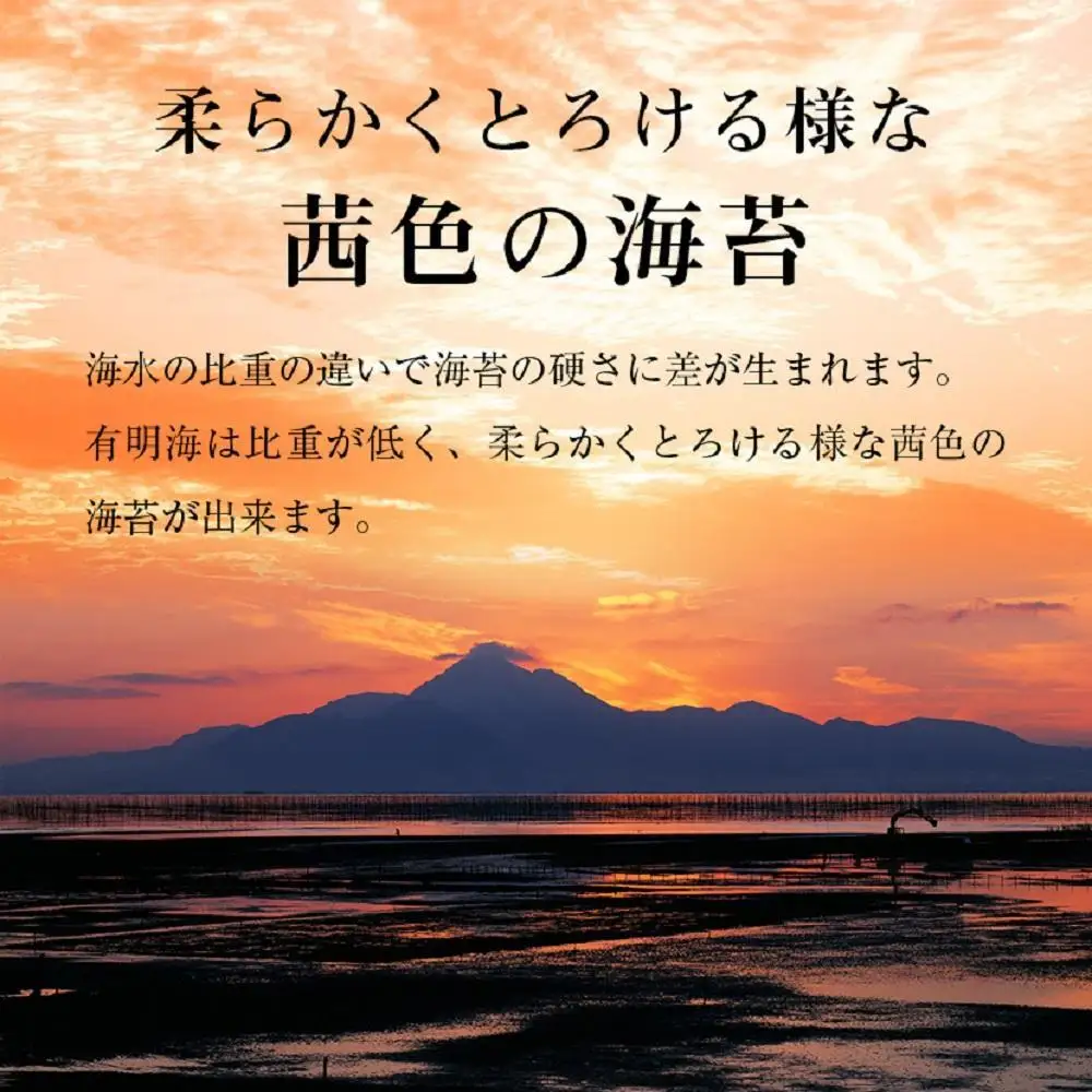 福岡有明海苔 味海苔 大丸ボトル 10切80枚×6本セット
