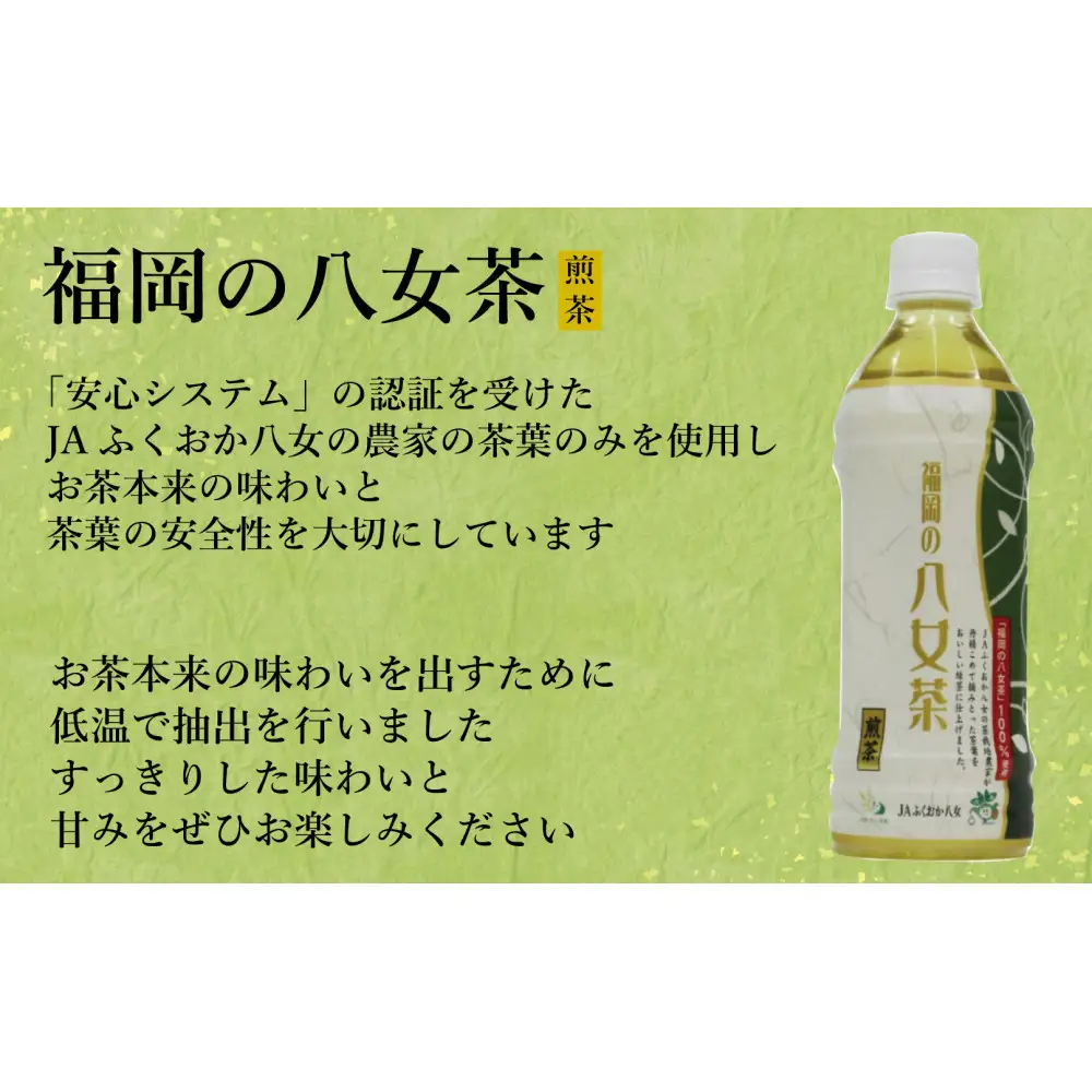 【八女茶】煎茶ペットボトル 500ml×24本