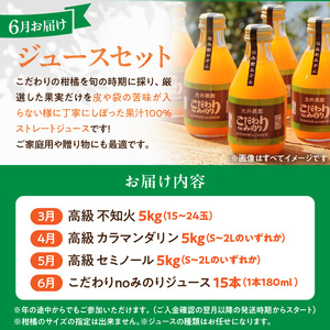 柑橘定期便【4回定期便】樹_ZS69007
