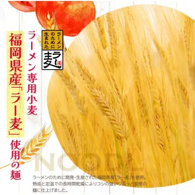 Z16-15 福岡県産ラー麦 とまとらーめん 120ｇ×8入（スープ付）ラーメン