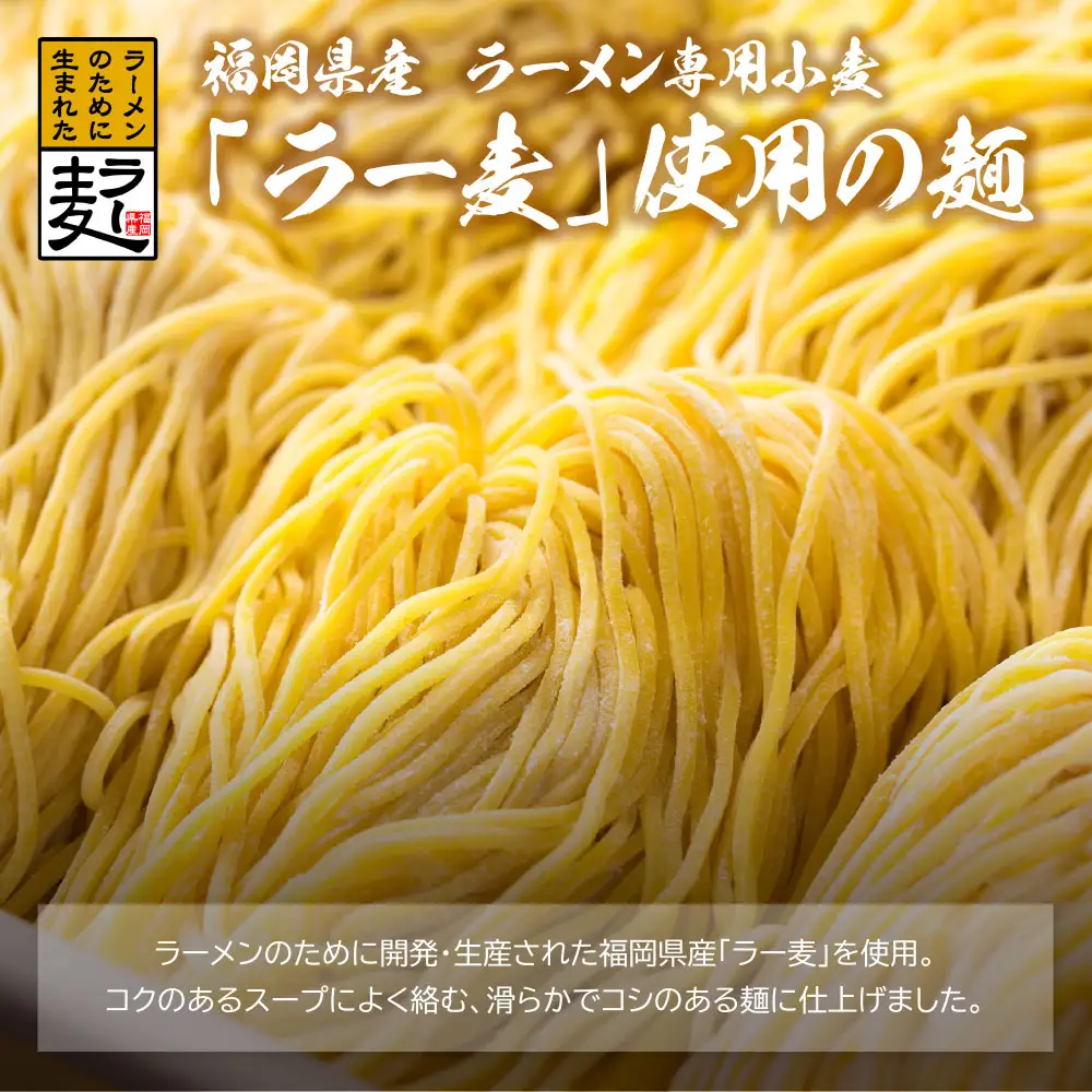 Z16-17 福岡県産ラー麦 博多生ラーメンとんこつ味 ラーメン