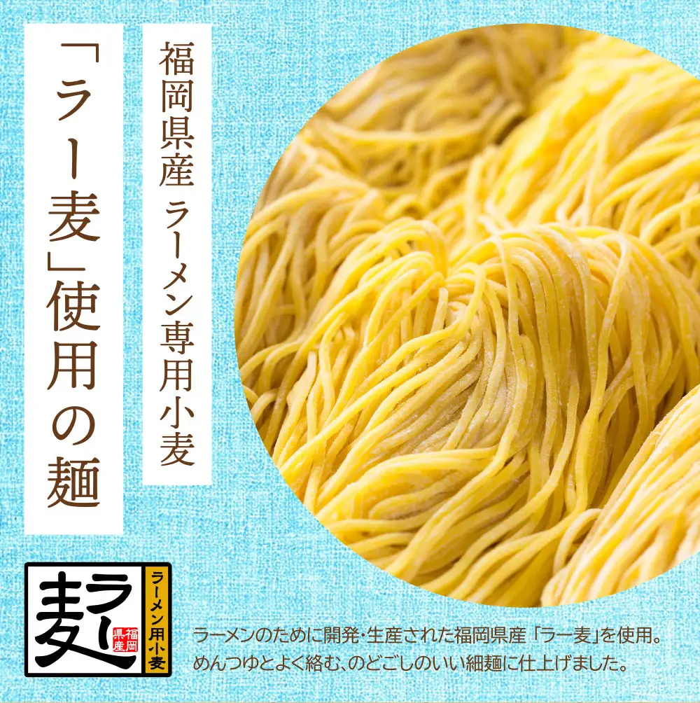 Z16-23 【4～8月発送】福岡県産ラー麦 冷し中華（ごまだれ付）冷やし中華
