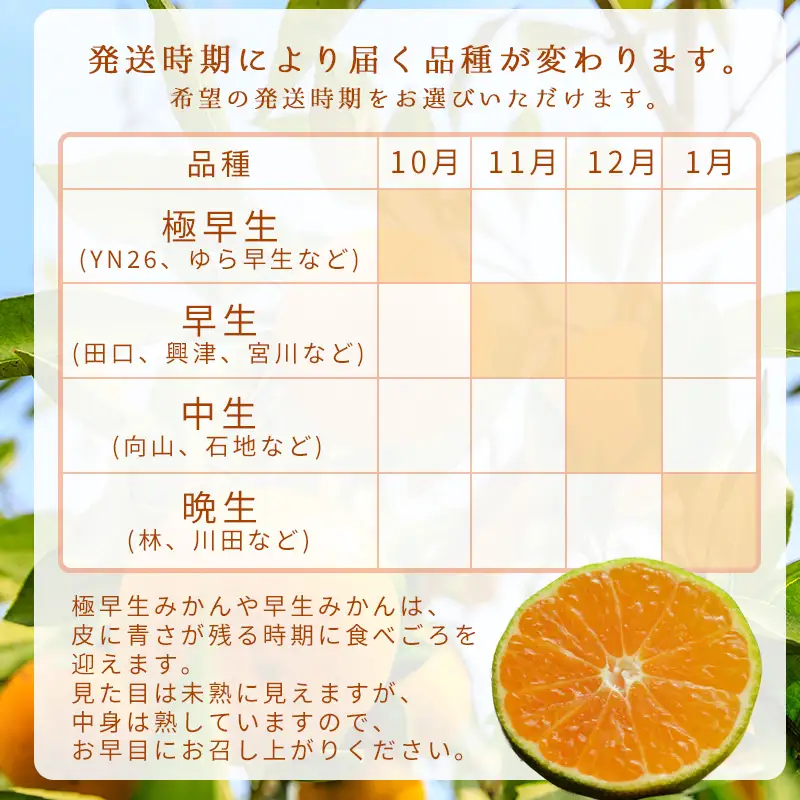 【12月発送】家庭用 有田みかん 和歌山 訳あり わけあり S～Lサイズ 大きさお任せ 3kg / みかん フルーツ 果物 くだもの 有田みかん 蜜柑 柑橘【ktn006B-12】
