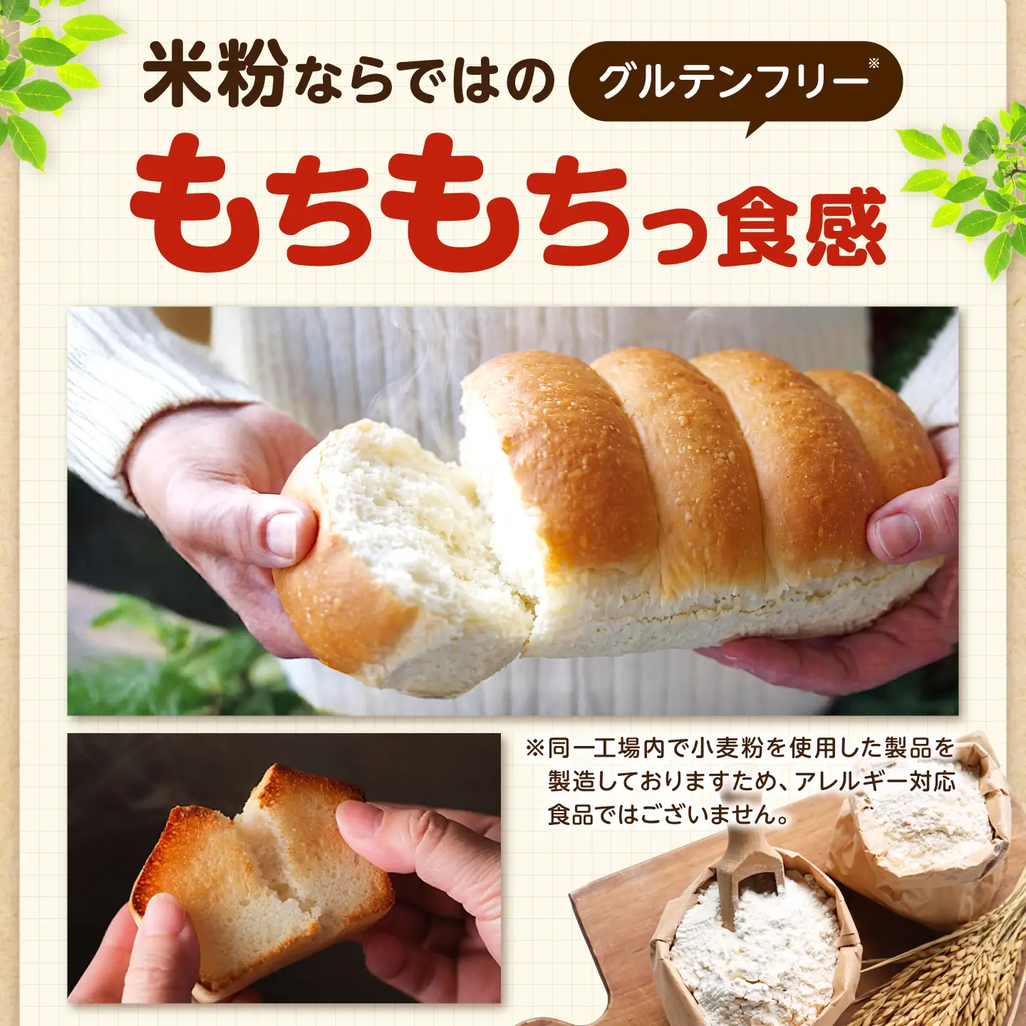グルテンフリー 米粉パンの2種（プレーン、オリーブ＆ローズマリー）食べ比べセット[BACW013]パン