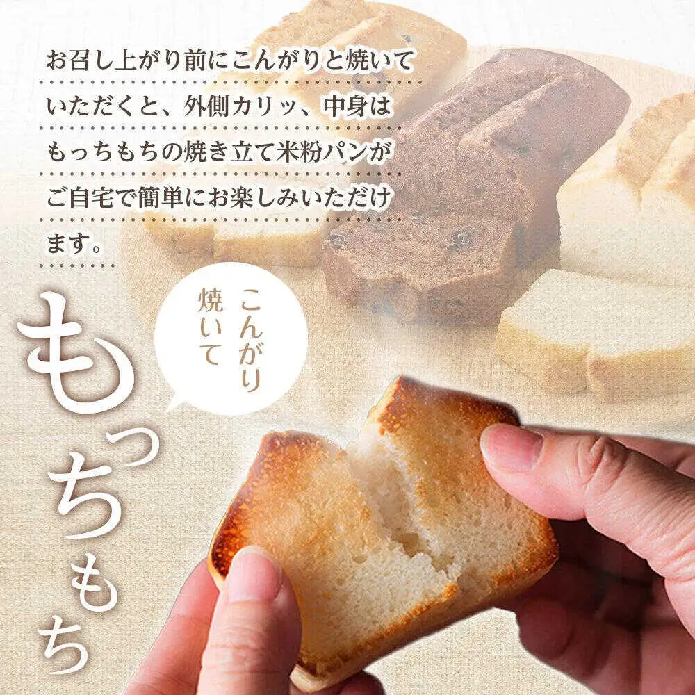 グルテンフリー 米粉パンの3種 計6本 食べ比べセット[BACW009]パン
