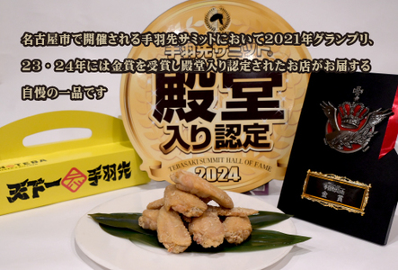鶏肉 手羽 極旨塩手羽先唐揚げ 手羽ギョーザ 鶏MAX！セット