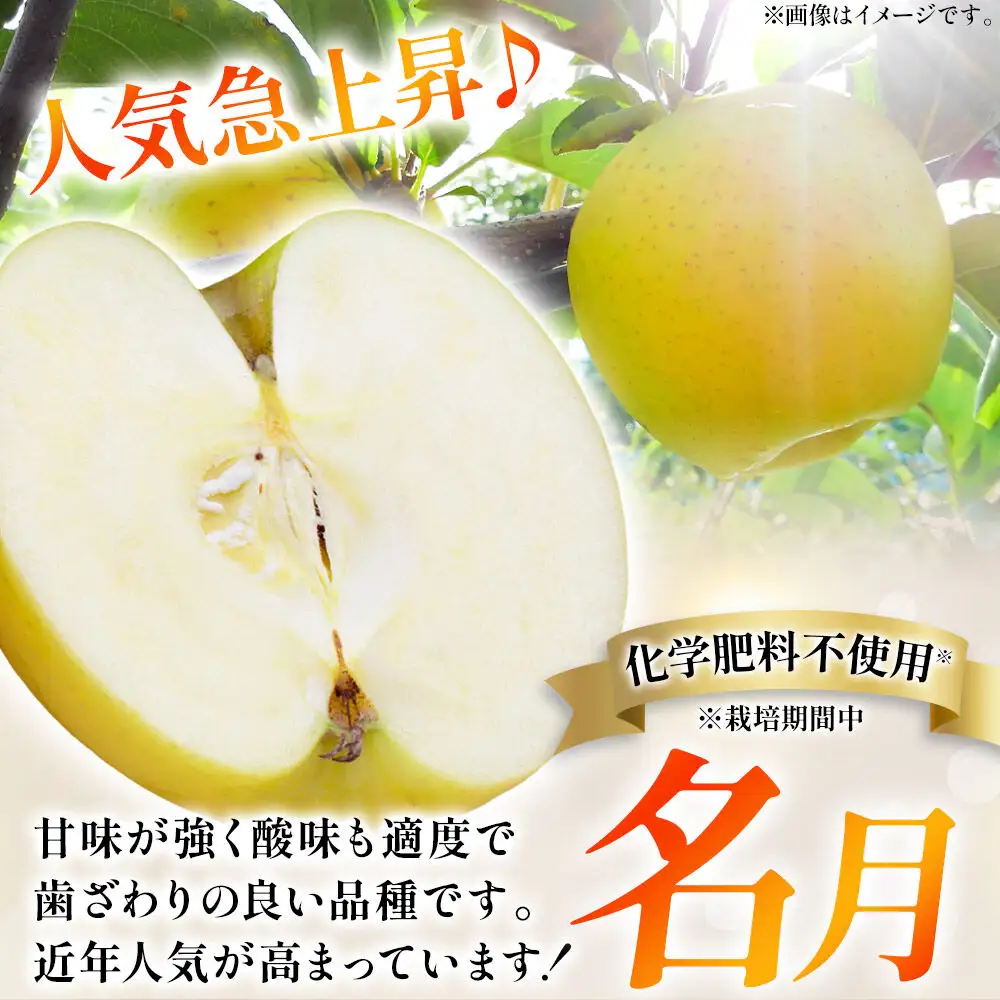 【26年10月下旬～発送】りんご 名月【訳あり】約3kg【先行受付】カワムラファーム 青森県 弘前市 果物 フルーツ 林檎 リンゴ くだもの 不揃い 規格外
