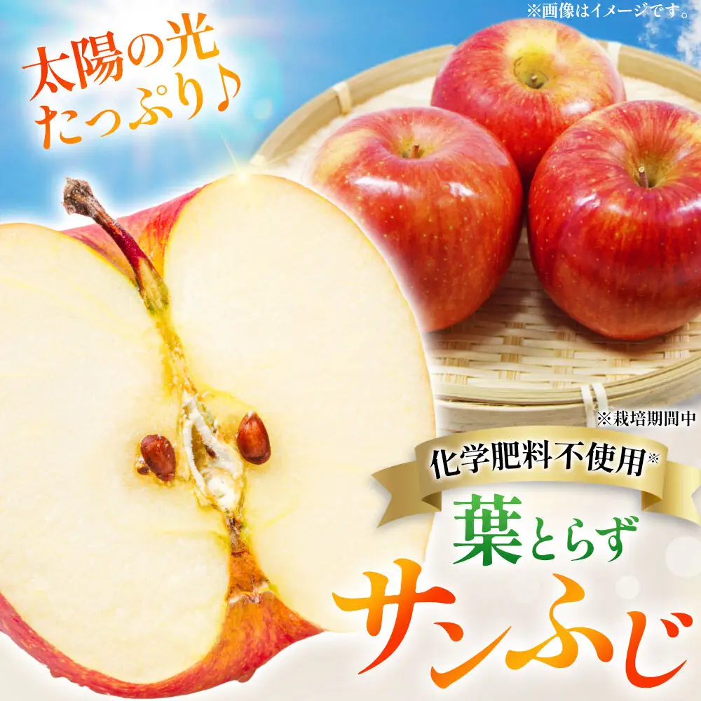 【26年11月下旬～発送】りんご 葉とらず サンふじ＆名月 セット【訳あり】約6kg【先行受付】カワムラファーム 青森県 弘前市 果物 フルーツ 林檎 リンゴ くだもの 不揃い 規格外