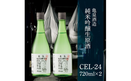 土佐の魚とお酒のおきゃくセット B（ウツボタタキコース）藁焼きウツボタタキ（タレ・薬味付）約200g 2-3人前 わら焼き うつぼ 珍味 純米吟醸生原酒 CEL-24 高知県 土佐市【さかなの森澤マル祐】[BQAM017]