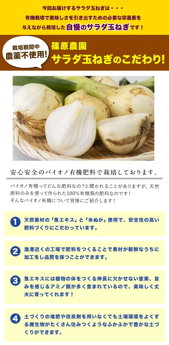 玉ねぎ サラダ 5kg 玉ねぎ