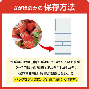 佐賀県玄海町産いちご「さがほのかDX」／ さがほのか【D023】