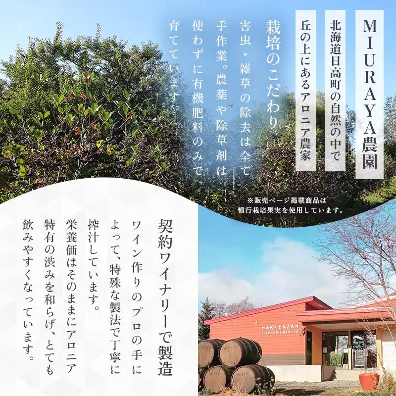 生搾りアロニア900ml 12本 北のハイグレード食品2024 日本ギフト大賞2024北海道賞 F6S-236