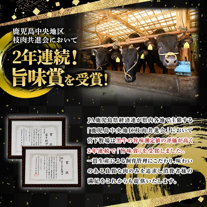 No.1142-A 薩摩和牛切り落とし(500g×1P) 国産 九州産 牛肉 和牛 薩摩和牛 赤身 焼き肉 焼肉 期間限定 切り落とし 切り落し 切落し 冷凍【さつま屋産業】