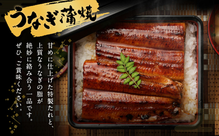 【12ヶ月定期便】鰻天屋 九州産うなぎ 蒲焼 約140g×2尾 セット 合計24尾 たれ 山椒 鰻 ウナギ 蒲焼き 国産 冷凍 鹿児島、宮崎、熊本等産うなぎ原料使用
