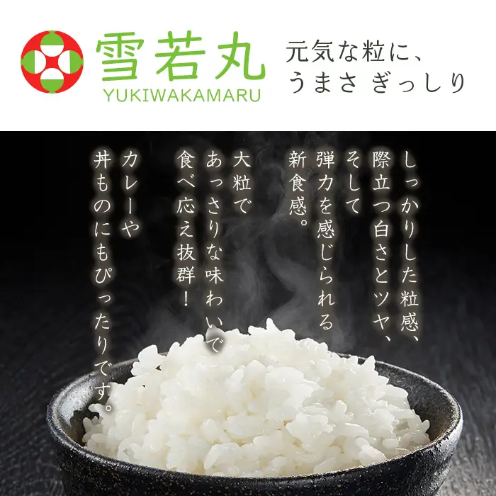 【五つ星 マイスター 厳選！】山形産 雪若丸 10kg(5kg×2)[白米] FZ25-956