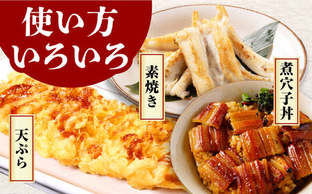 対馬産 あなご 天ぷら・煮付用 5パック[WCS011] 冷凍配送 小分け アナゴ 新鮮 海鮮 冷凍  