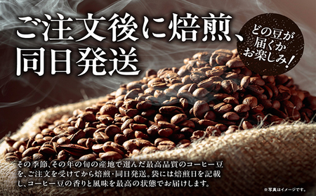 NoBlendCoffee工房‐特選スペシャルティコーヒー豆セット スペシャルティコーヒー コーヒー コーヒー豆 飲料 飲み物 ドリンク ブレンド 焙煎 自家焙煎 味わい 特産品 エチオピア グアテマラ 愛知県 常滑市