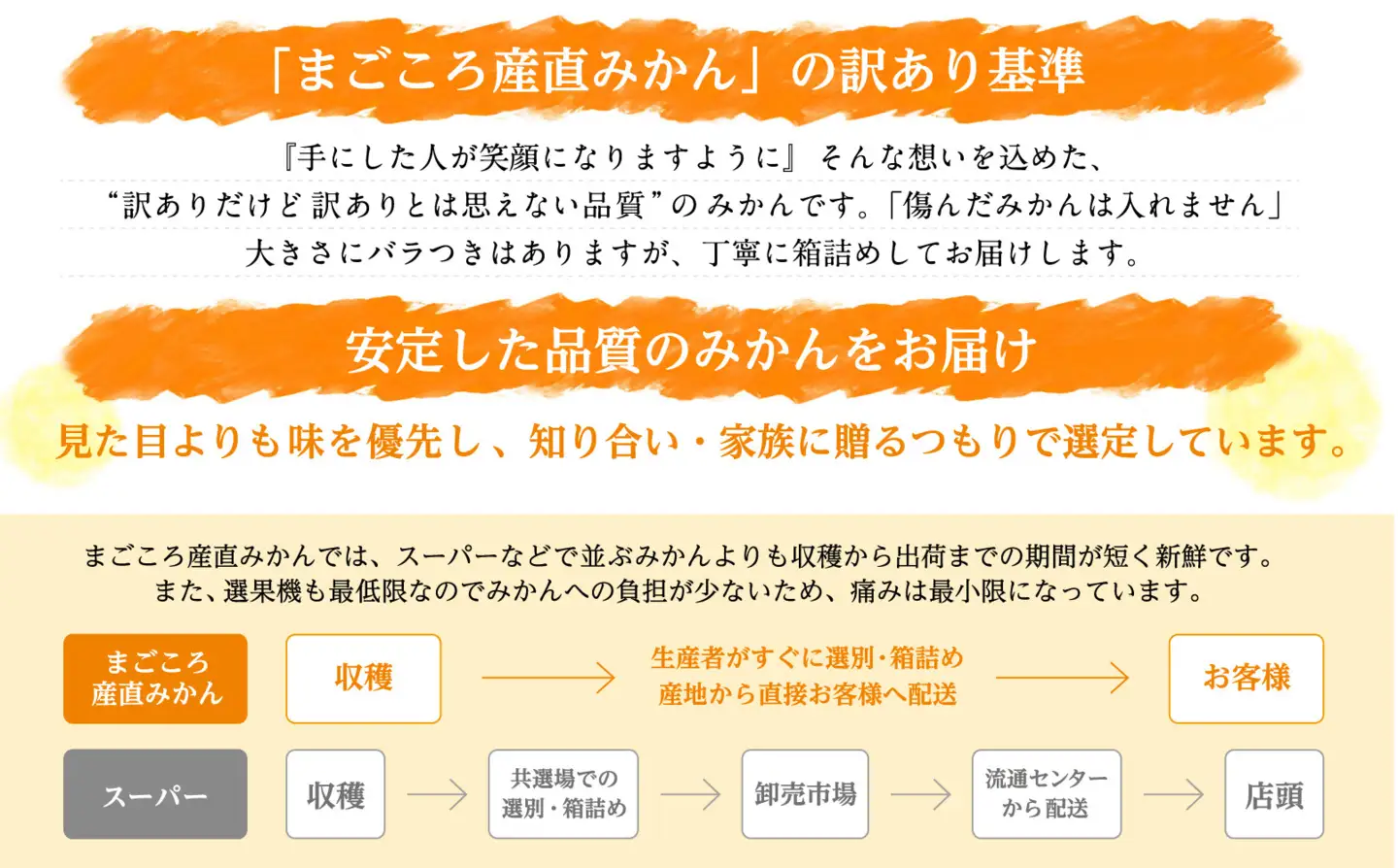訳あり 早生みかん 大小混合 6.5kg 和歌山みかん
