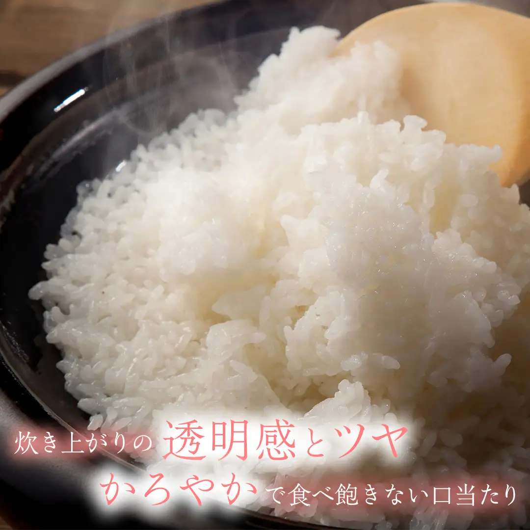 【 新米 】【9回定期便】お米 5kg ( 総計45kg ) 白米 銀河のしずく 特A受賞 ★令和8年産★ 精米 AD068