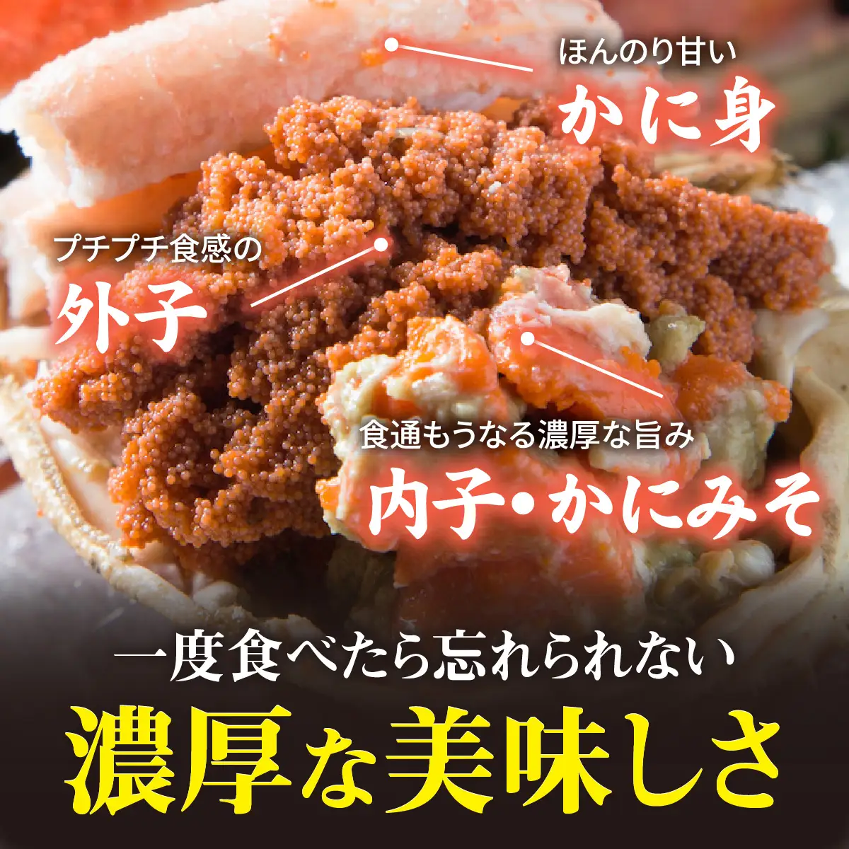 【先行予約】【訳あり】プチプチ食感の外子と濃厚な内子 せいこがに 甲羅盛   70～80g×4個（中大サイズ）【トライアル返礼品】【2026年11月中旬より発送予定】 [B-007020] 
