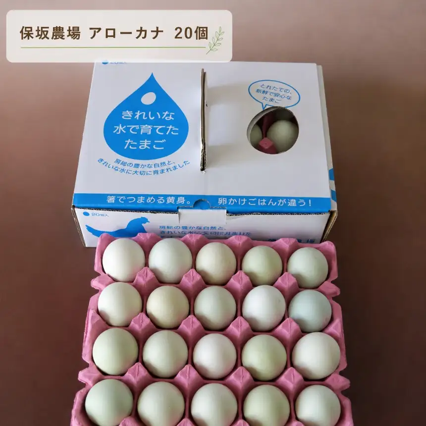 たまご 卵 3色 アソート 定期便 3回 白玉 赤玉 青玉 食べ比べ 君津市産 |  菜の花エッグ 菜の花たまご 三枝農場 保坂農場 アローカナ 