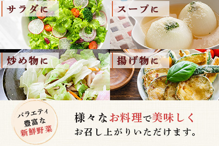 【定期便12回】熊本の大地の恵み≪ 野菜で野菜を食べる ≫ 旬のこだわり 野菜 ＆ドレッシング セット (3?4名様向け) 野菜 獲れたて 8～12品 直送 旬 新鮮 定期便 野菜ドレッシング 詰め合わせ 詰合せ 熊本県 多良木町 024-0816