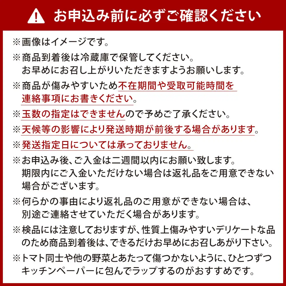 福岡県北九州市若松区産 若松濃縮トマト 1.2kg箱（15玉～30玉入り）【2027年3月上旬～5月下旬迄発送予定】とまと トマト 野菜 国産 北九州市産