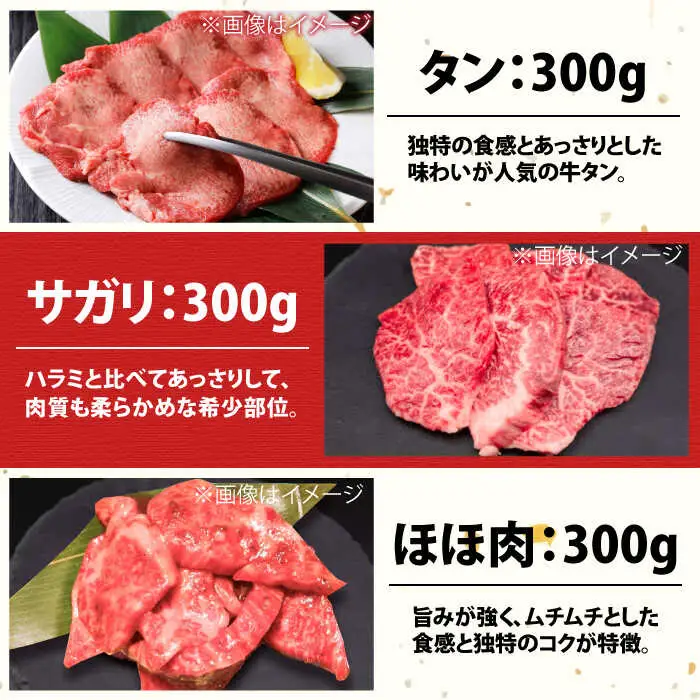 佐賀牛6種食べ比べ！ ホルモンバラエティセット 1.8kg 4-5人前 盛り合わせ タン・小腸など 吉野ヶ里町/やきとり紋次郎[FCJ090]