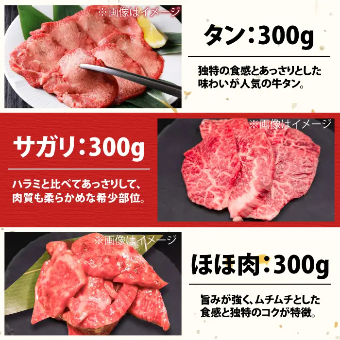 【全6回定期便】佐賀牛6種食べ比べ！ ホルモンバラエティセット 10.8kg 4-5人前  タン・小腸など 吉野ヶ里町/やきとり紋次郎[FCJ105]