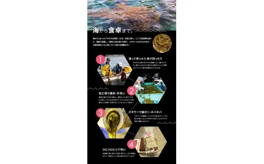 紀州 あかもく ［由良町産］100g×15パック（2026年産）あかもくアカモク 個包装 真空パック 健康 美容 朝ごはん 腸活 海鮮 海藻 かいそう 海鮮 魚介類 小分け 個包装 水産 ミネラル 食物繊維 ヘルシー スーパーフード 海鮮丼 冷奴 サラダ 味噌汁【sml908A】