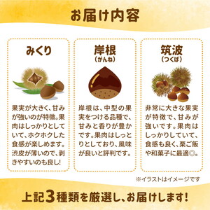 【R8年産】【先行受付】【数量限定】兵頭さん家の鬼北町産栗3kg ｜ 大粒 生栗 和栗 国産栗 地域限定 丹波栗 くり 栗 栗ご飯 生栗 果物 フルーツ 先行予約 数量限定 ※離島への配送不可 ※2026年9月上旬～10月下旬頃に順次発送予定