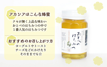 ＜おとべのはちみつ アカシア500g×1本＞北海道 道産 乙部町 蜂密 ハチミツ 魚つきの森からの恵み 天然 非加熱はちみつ 非加熱 アカシア蜜 ハニー 食品 おすすめ ミネラル 豊富 健康
