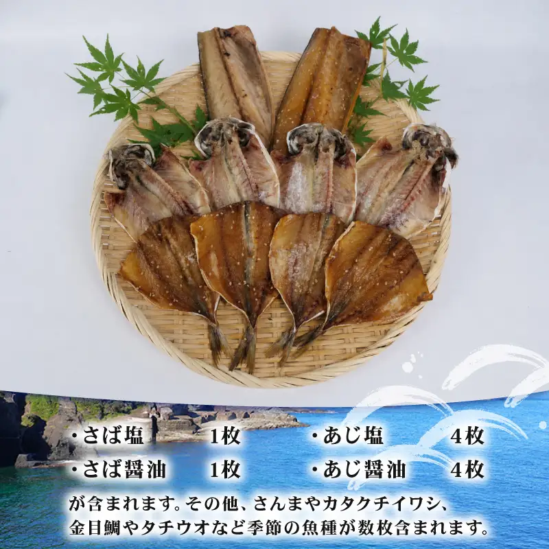 干物 詰め合わせ セット 10枚 + 季節のひもの 干物