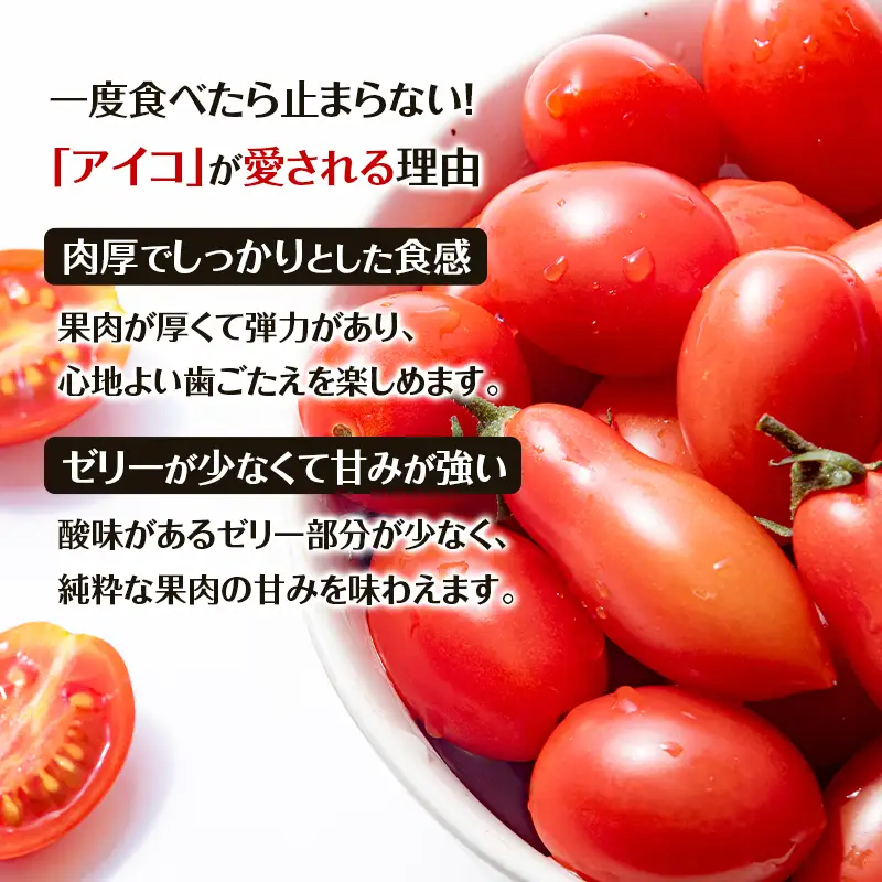 ミニトマトアイコ 農薬不使用 北海道産 ミニトマト【1kg】