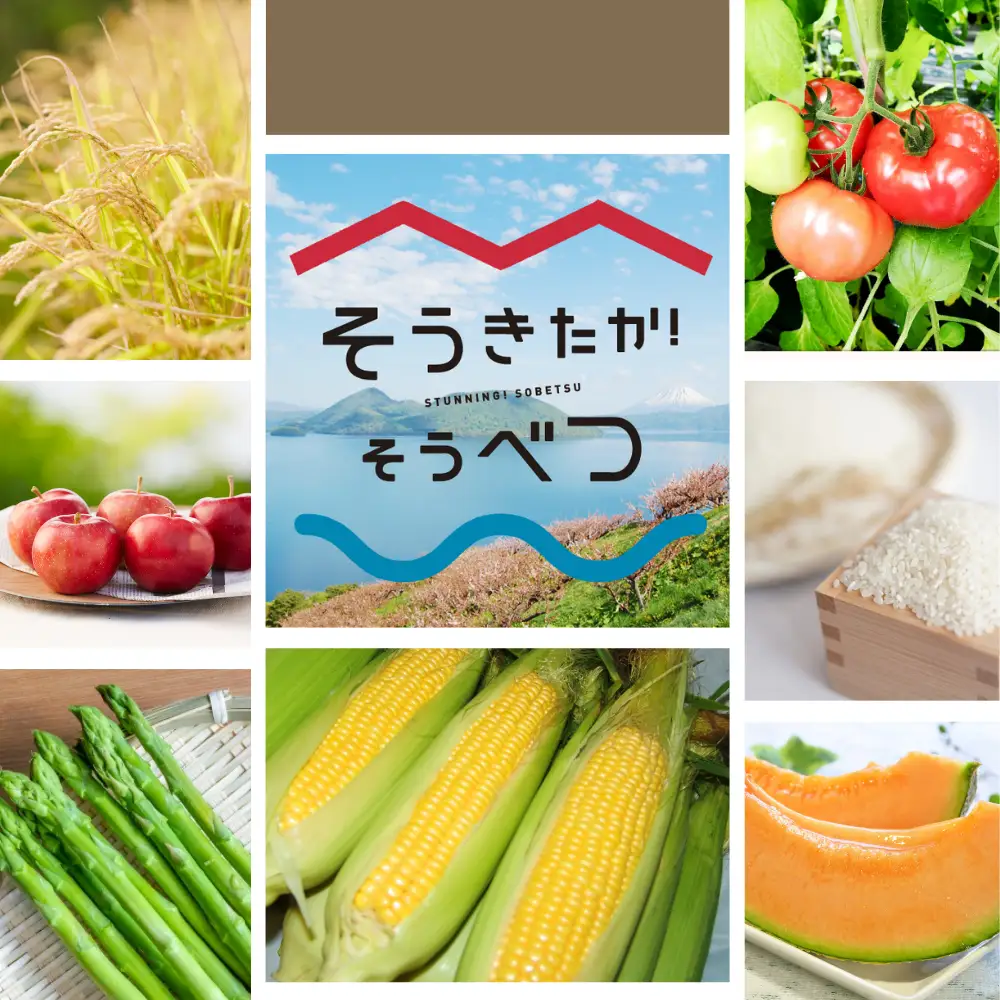 【ふるなびWEEK対象】スパークリングアップルジュース3本セット ※そうべつ産りんご100%使用 SBTA014