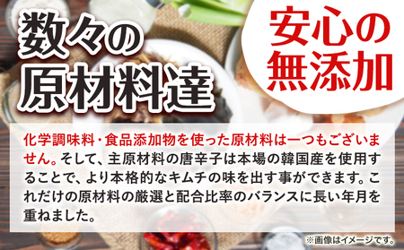 キムチ革命 キムチパウダー お試しパック 1袋×60g