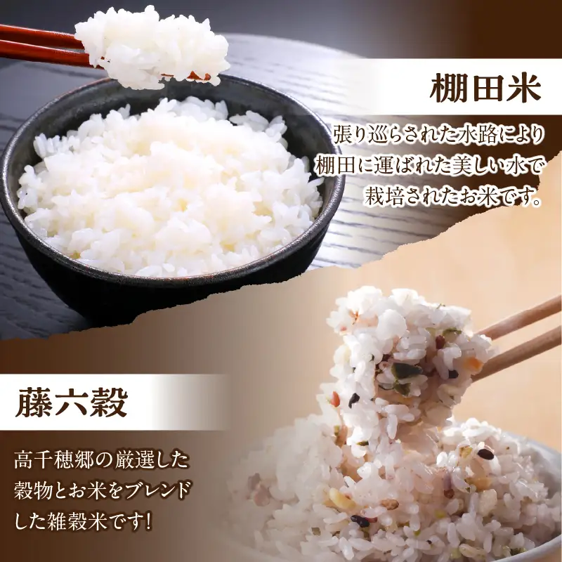 高千穂郷産緑茶のデザートが楽しめるセット 濃厚 ガナッシュ 緑茶 緑茶のテリーヌ テリーヌ お菓子 洋菓子 ホワイトチョコ チョコレート ハト麦 ハト麦茶 お茶 茶 釜炒り茶 藤六穀 お米 雑穀米 棚田米 ほうじ茶 手土産 お土産 菓子 デザート スイーツ 贈答 プレゼント ギフト 母の日 父の日 敬老の日 お祝い お返し 誕生日 バレンタイン _Tk028-012