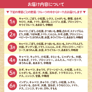 【偶数月お届け】むなかた旬のお任せセット(野菜・フルーツ) 9～11品 【JAほたるの里】_HB0174